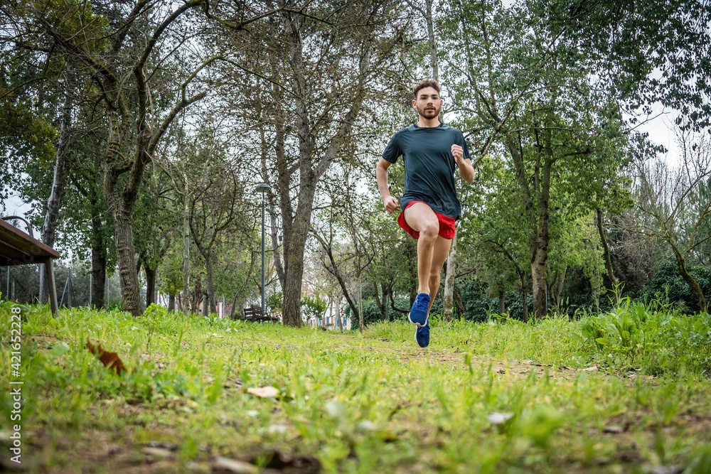 Athletic young man jogging in the park in the morning and looking at front. Athletic young man jogging in the park in the morning and looking at front.