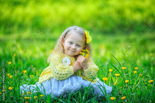 Sweet blonde girl sitting in meadow, green grass among dandelion flowers. Cheerful child enjoys Sunny spring day. Lovely of kid with blue eyes, natural cosmetics. Children Protection Day. Copy space © Olena