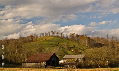 Farm Landscape near West Liberty Kentucky