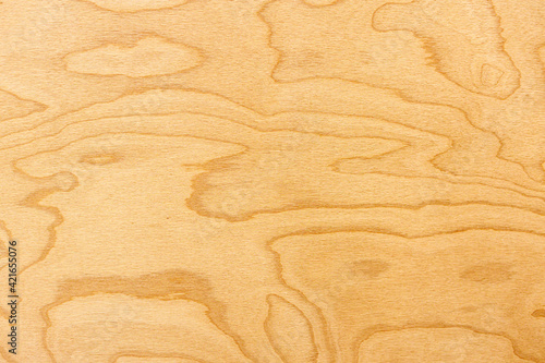 Plywood sheet close-up. The texture of the tree.
