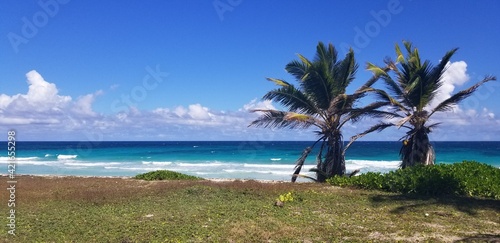 Fototapeta Naklejka Na Ścianę i Meble -  république dominicaine plage paradis palmiers