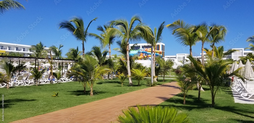 palmiers hotel riu république dominicaine glissades