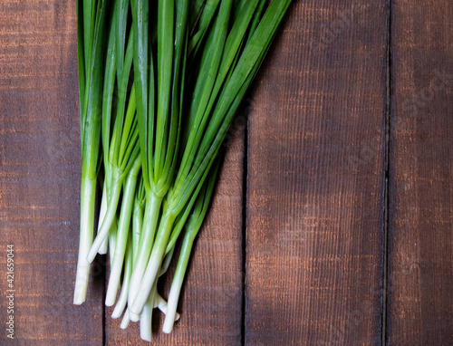 Closeup of the fresh chives