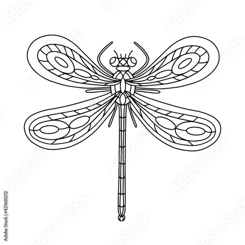 Dragonfly Beetle-Insect coloring book. Dragonfly linear vector illustration. Anti-stress coloring book for adults and children. Hand-drawn doodle coloring page.