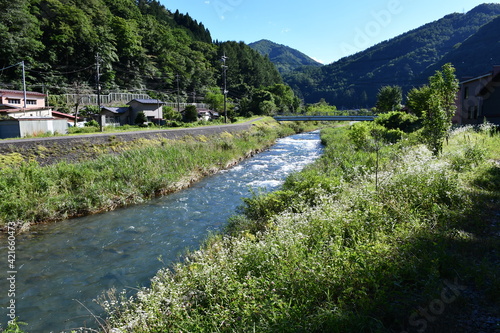田舎の川