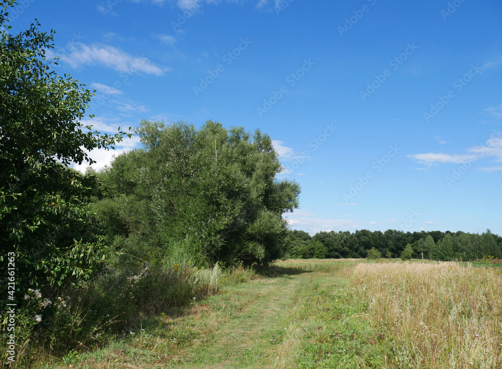 Summer landscape with green grass and blue sky. Country road and trees. Clear day Summer landscape with green grass and blue sky. Country road and trees. Clear day