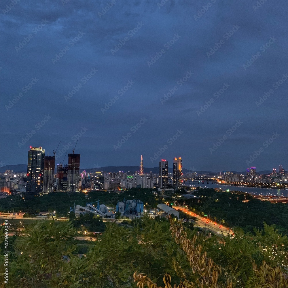 Fototapeta premium downtown city in Korea