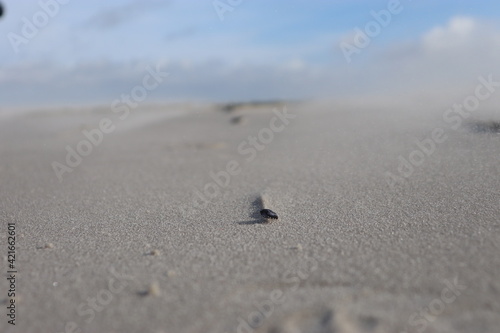 sand formations behind a pebble and blured background