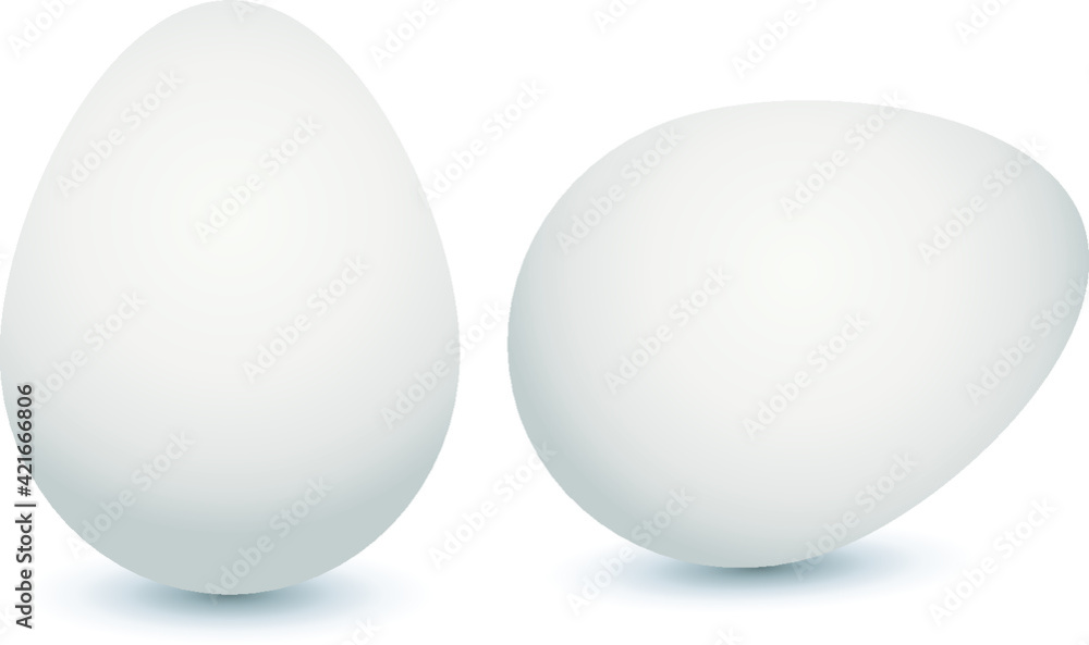 realistic 3d egg without background illustration realistic 3d egg without background illustration