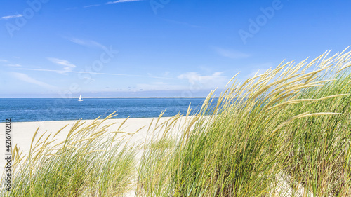 Windy day at a white sand beach under the blue sky
