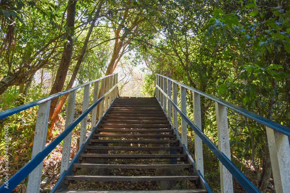 Wooden stairs, in the middle of nature with many trees Wooden stairs, in the middle of nature with many trees