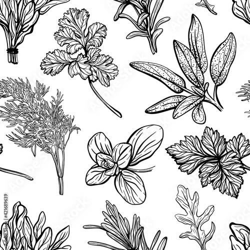 Seasonings and herbs pattern. Aromatic spices, healthy herbs. Basil, oregano, parsley, dill.Hand-drawn vector illustration