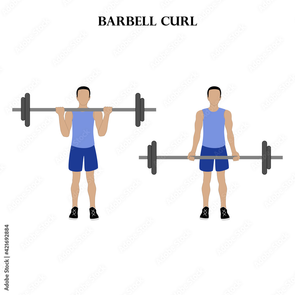 Barbell curl workout exercise. Healthy lifestyle vector illustration Barbell curl workout exercise. Healthy lifestyle vector illustration