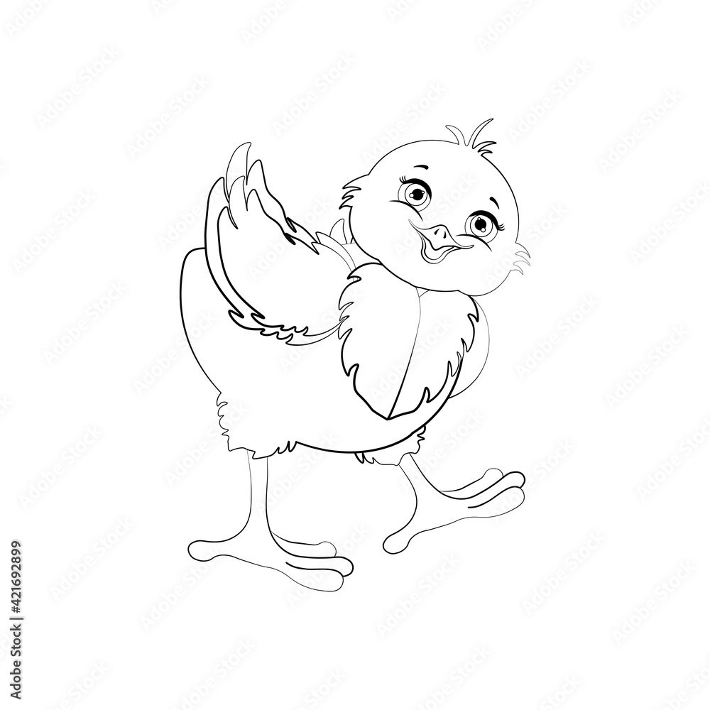 Fototapeta premium Chick bird cute animal vector illustration outline
