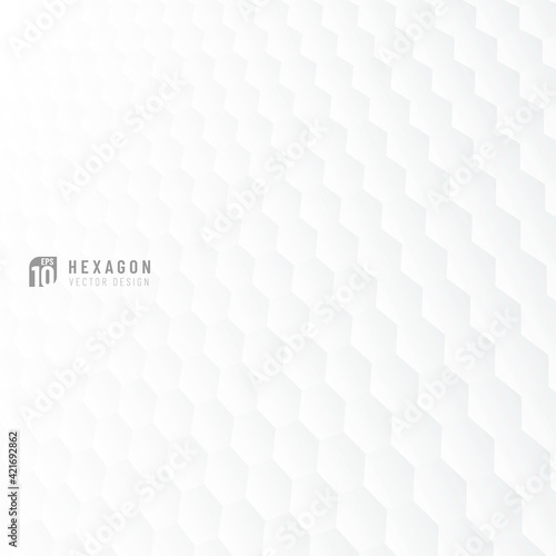 Abstract gray and white hexagon pattern perspective background. Modern and minimal element. Vertical repeat geometric grid. You can use for cover template, poster, banner web, flyer. Vector EPS10