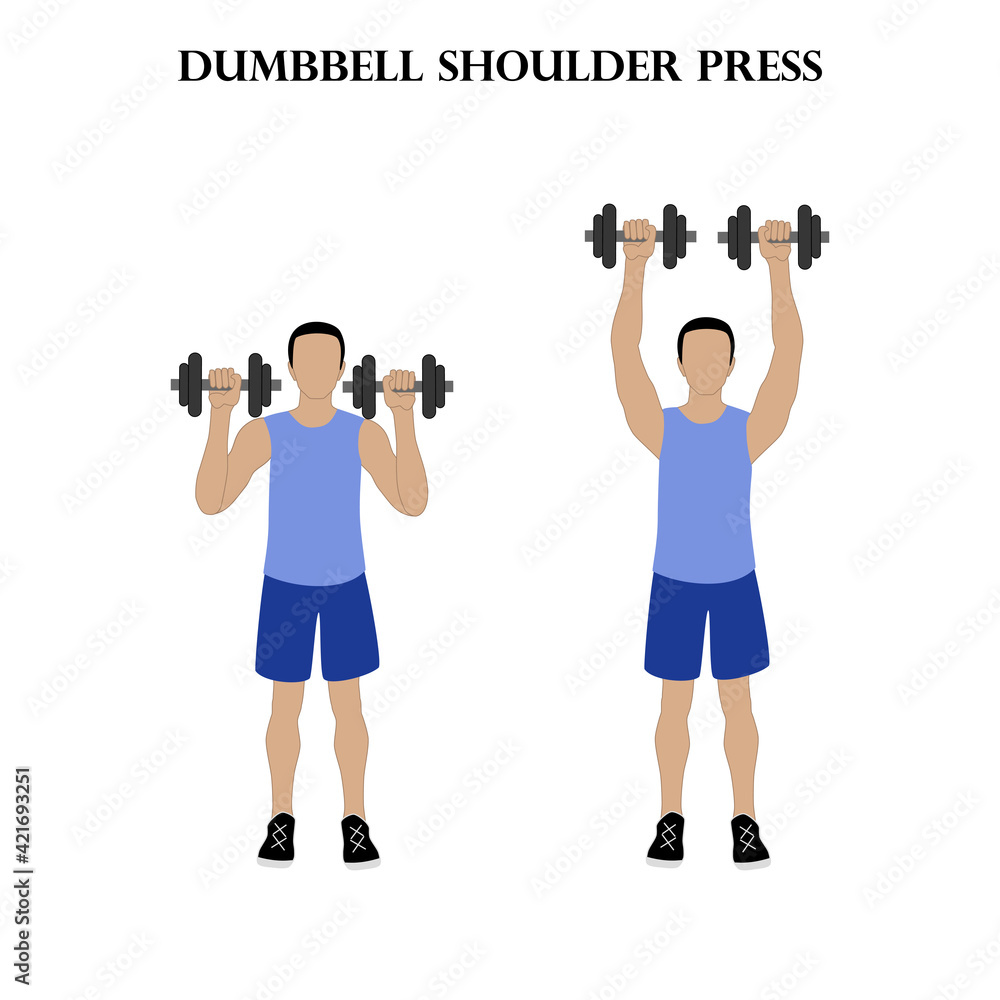 Dumbbell shoulder press workout exercise vector illustration Dumbbell shoulder press workout exercise vector illustration
