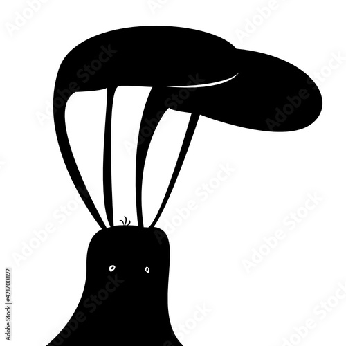 Hase
