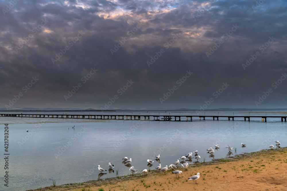 Naklejka premium Rainy day sunrise waterscape with wharf