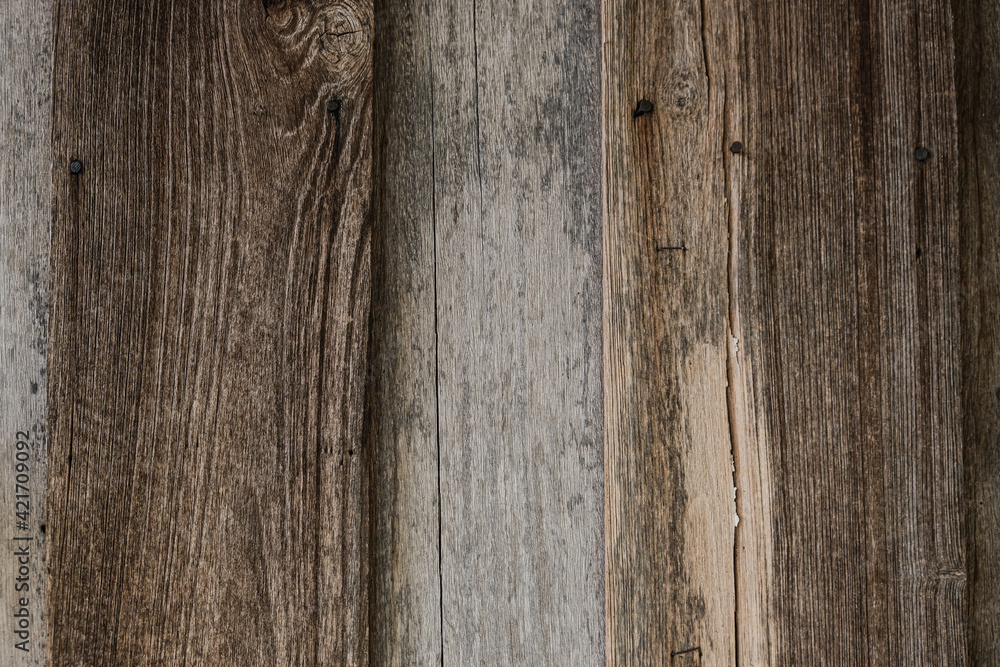 Obraz premium Vintage teak wood texture blannk background