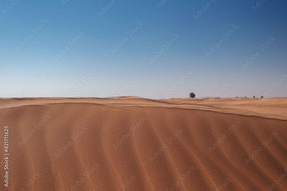 Fototapeta premium Sunset over the sand dunes in the desert.