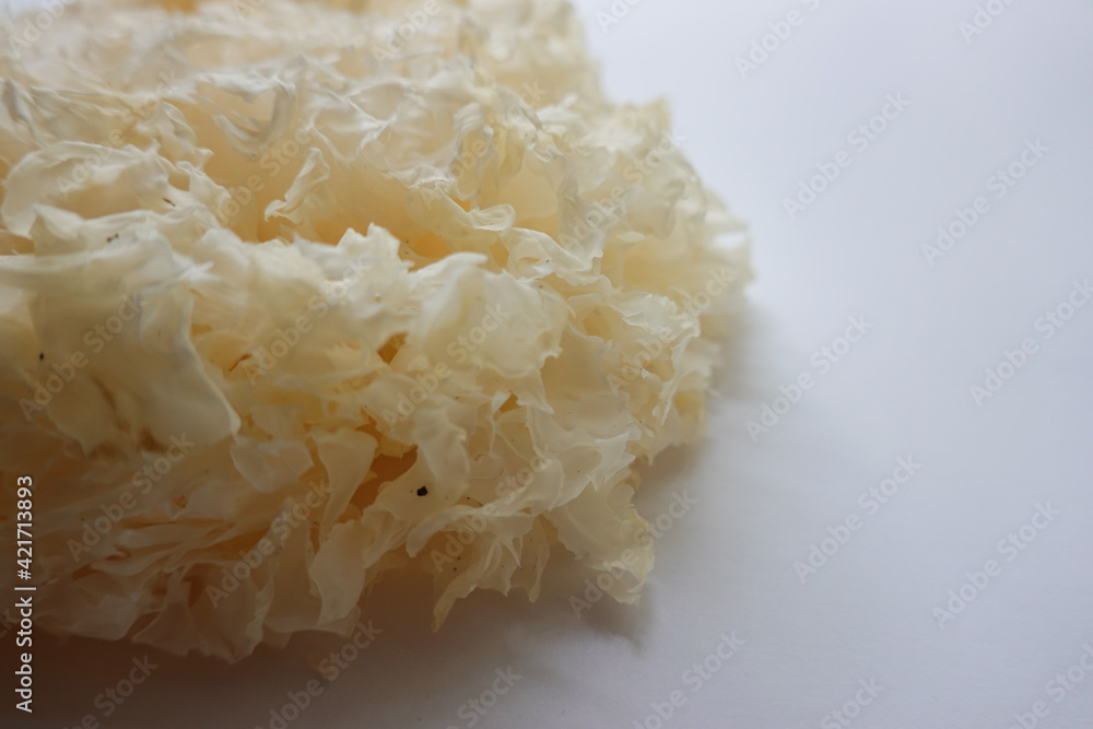 Close up texure and surface of Tremella Mushroom, Tremella Fuciformis Mushroom ( White Jelly Fungus , white jelly mushroom) Close up texure and surface of Tremella Mushroom, Tremella Fuciformis Mushroom ( White Jelly Fungus , white jelly mushroom)