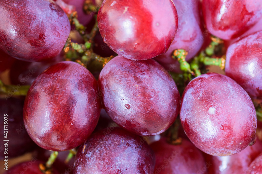 Close up of red grapes Close up of red grapes