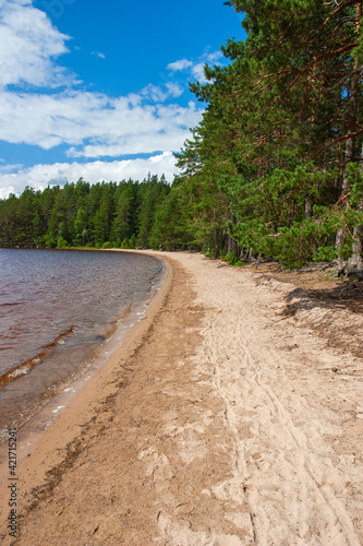 Forest lake with a sand beach