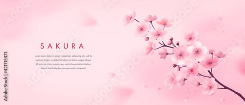 Banner design template. Vector illustration of realistic blossoming sakura flowers on pink watercolor background