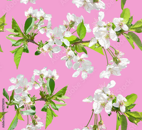Floral seamless pattern.