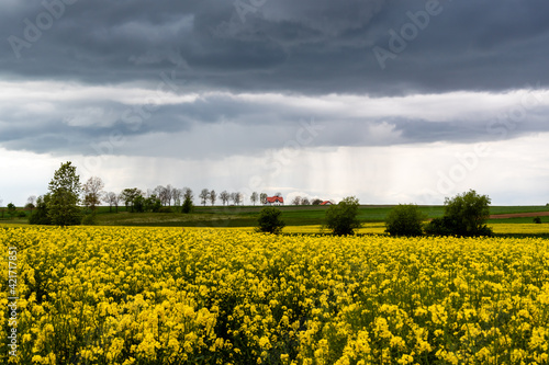 Wiosenna cisza przed burzą, Podlasie, Polska