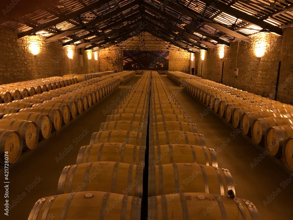 Wine Cellar Oak Casks. Structure Designed By Eiffel .. Stock Photo