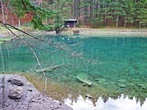 A small alpine forest pond on the Sevelerbach stream and on the slopes of the Sevelerberg mountain, Sevelen - Canton of St. Gallen, Switzerland (Schweiz) photo