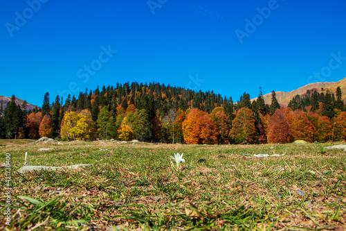 Mountain pass Pyv in Abkhazia. Magnificent autumn landscape. photo