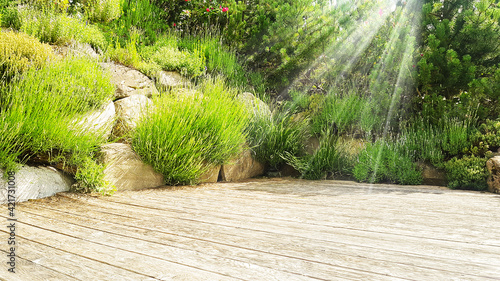 Hintergrund Holz Fläche für Produkte Terasse Vorlage Untergrund mit Stein und Pflanzen grün mit Sonne Strahlen Schein Licht Reflektion ruhig sommerlich sommer umwelt- garten- park Landschaft Blumen