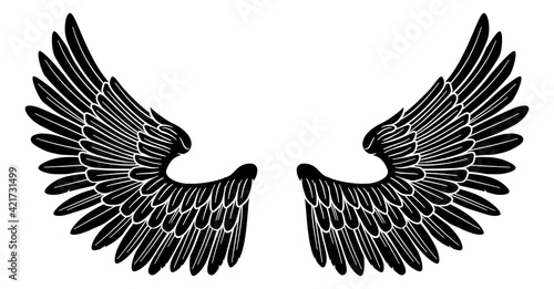 Pair of Angel or Eagle Bird Wings