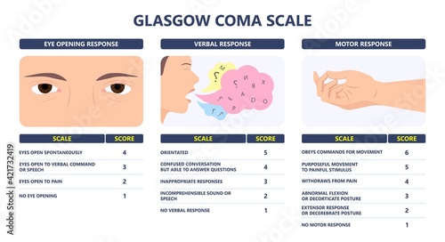 Glasgow Coma Scale avpu alert verbal pain patient score first aid test brain injury care GCS head car crash unit ICU trauma EMV