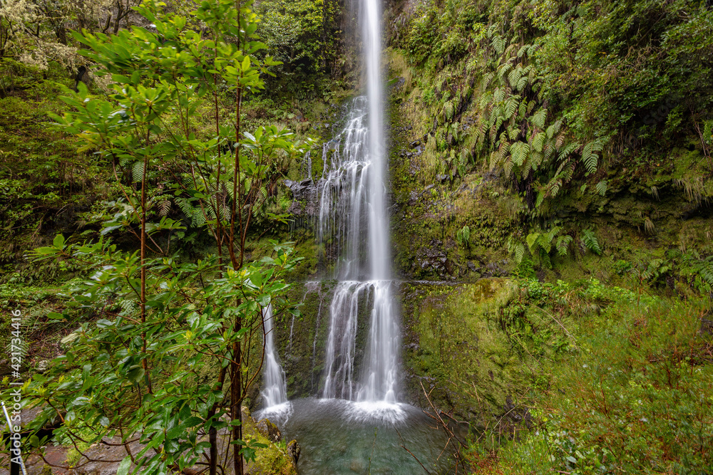 Langzeitbelichtung eines Wasserfalls am Wegesrand der Wanderung zum Caldeirao Verde in Madeira Portugal