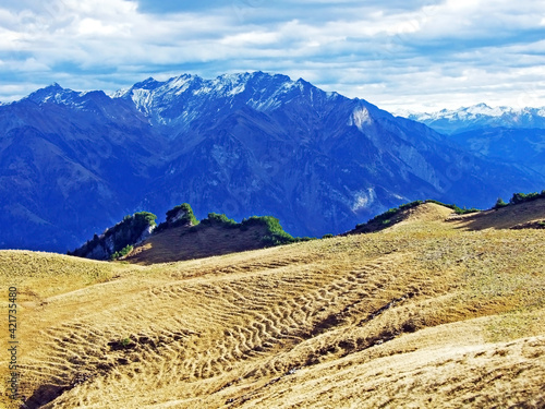 Alpine pastures and grasslands one the slopes of the Sevelerberg and Werdenberg mountains, Sevelen - Canton of St. Gallen, Switzerland (Schweiz) photo