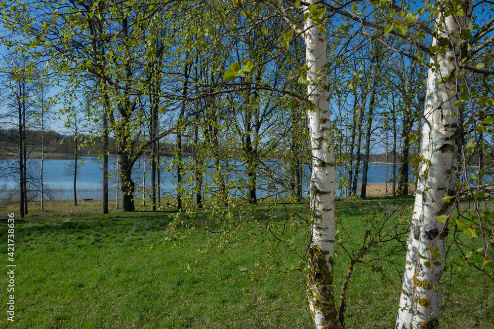 Fototapeta premium Calm lake in spring.