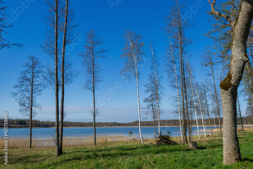 Fototapeta Naklejka Na Ścianę i Meble -  Calm lake with pier.