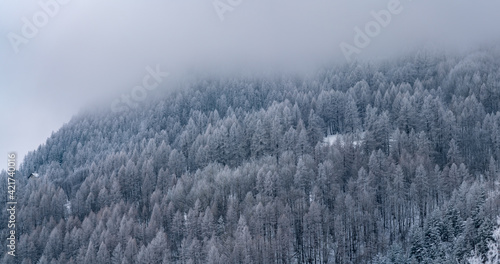 winter day in the snowy Italian Alps © Matteo