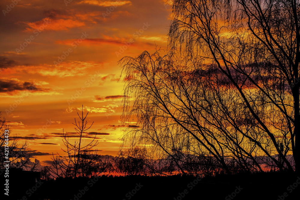 Evening sky