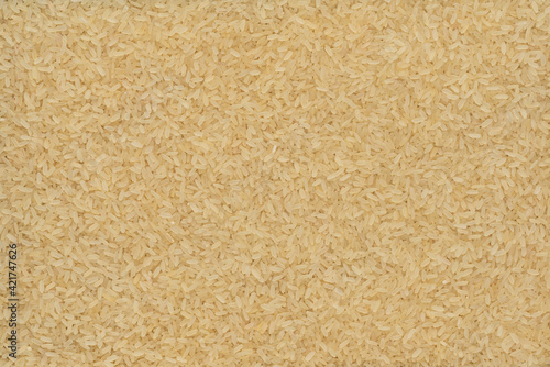 dry selection rice. food background, texture