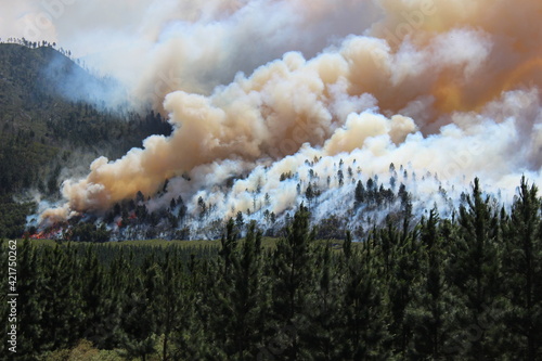 Tsitsikamma national park during the period of huge fire, famous suspension bridge in South Africa