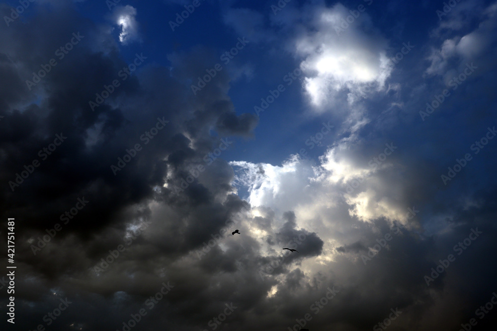 sun ,clouds and birds sun ,clouds and birds