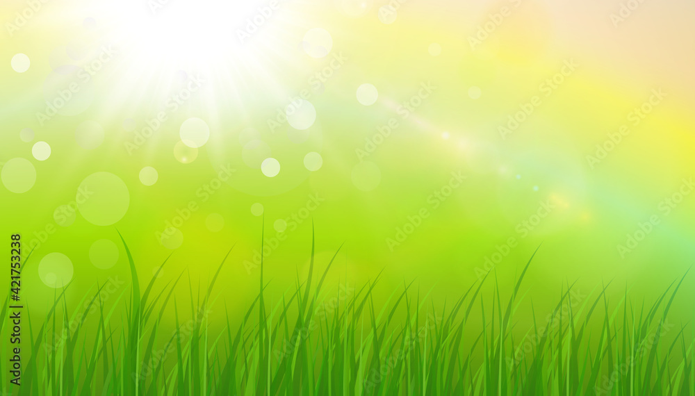 Sunny natural background, summer sun with green grass and blurry bokeh as fresh green spring background, nature vector illustration.
