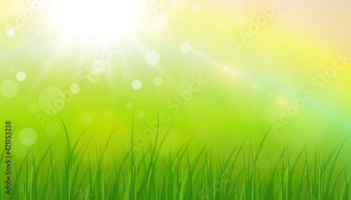 Sunny natural background  summer sun with green grass and blurry bokeh as fresh green spring background  nature vector illustration.