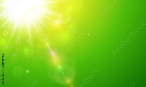 Sunny green natural  background, blurry with sun and lens flare, nature bokeh spring background.