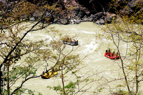 rafting in rishikesh
