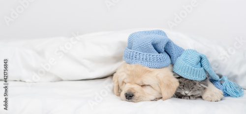 Golden retriever puppy hugs gray kitten. Pets wearing warm hats sleep together under white warm blanket on a bed at home